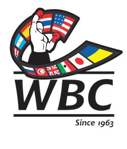 Wbc wiki - The World Baseball Classic (abbreviated as WBC, or sometimes, The Classic [1]) is an international baseball tournament, sanctioned from …